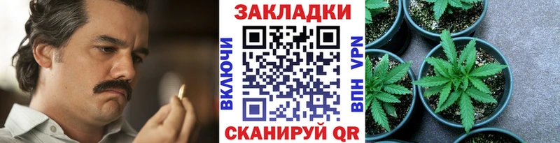 Как найти наркотики Олонец СК Меф мяу мяу Гашиш Канабис COCAIN