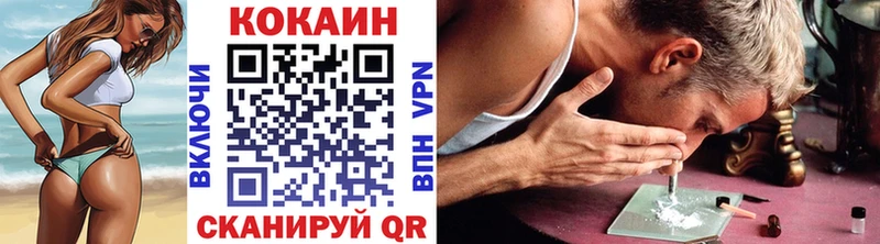 COCAIN Эквадор  купить наркотики цена  Олонец 