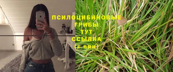 тгк Балахна