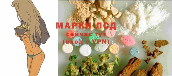 ПСИЛОЦИБИНОВЫЕ ГРИБЫ Краснотурьинск