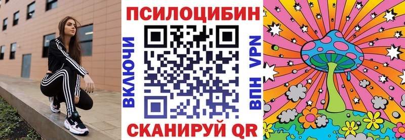 Псилоцибиновые грибы Psilocybine cubensis  ОМГ ОМГ ссылки  Олонец 