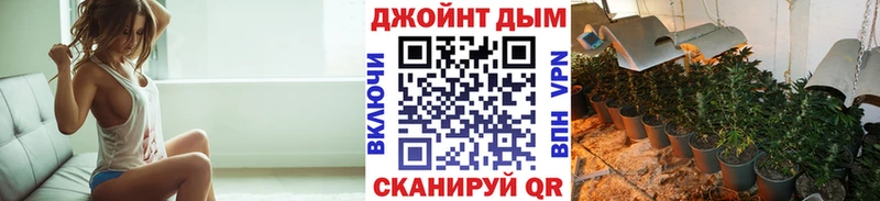 где найти наркотики  Олонец  Каннабис Bruce Banner 